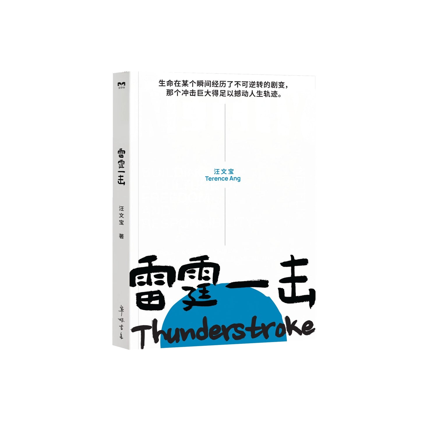 雷霆一击 by 汪文宝